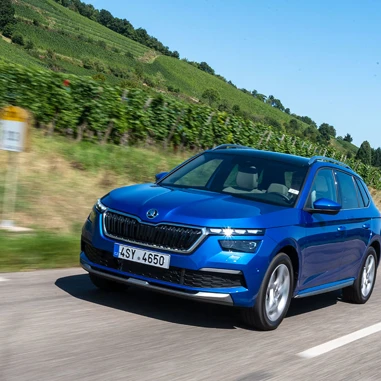 Skoda Kamiq 2021 Koerebillede