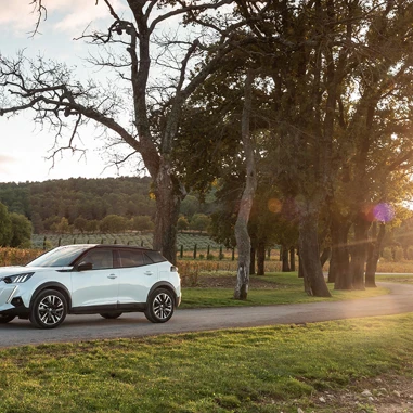 PEUGEOT 2008 2020 E2008 Koersel (1)