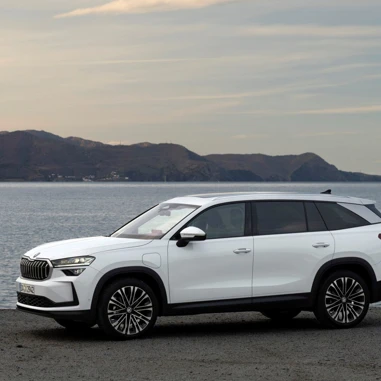 Skoda Kodiaq 2024 Fra Siden