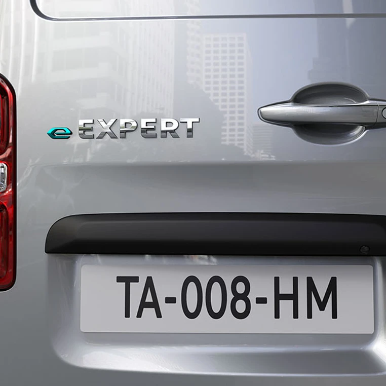 PEUGEOT E EXPERT 2020 Bagende (1)