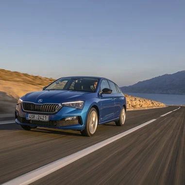 Skoda Scala 2021 Koerebillede