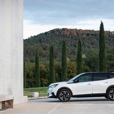 PEUGEOT 2008 2020 E2008 Fra Siden (1)