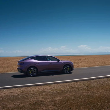 Purple Outdoor Driving 3