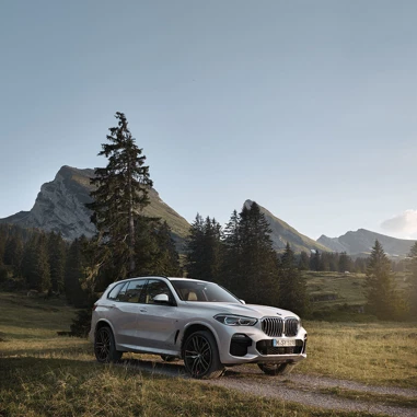 BMW X5 2018 Landskab